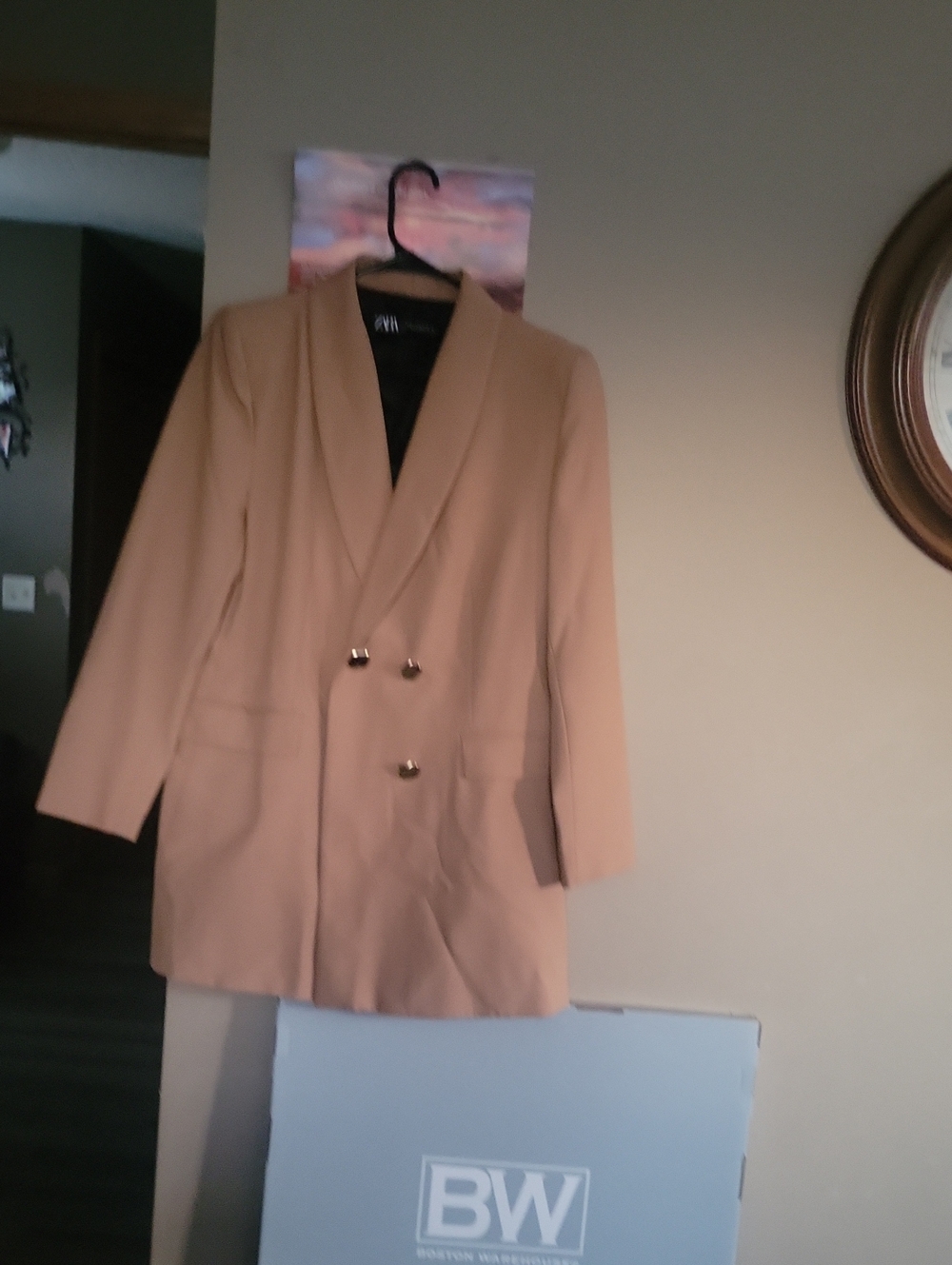 Zara Camel Single-Breasted Coat